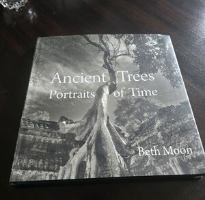 Ancient Trees: Portraits of Time — Beth Moon
